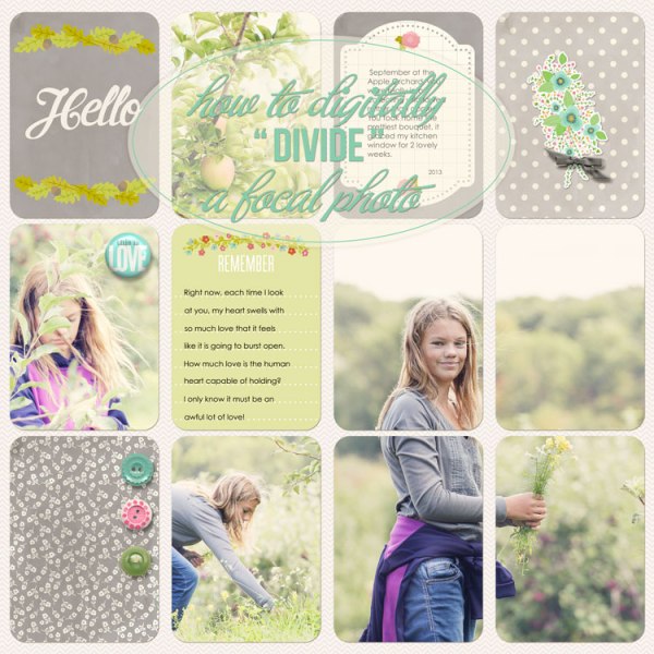 how to digitally divide a focal photo