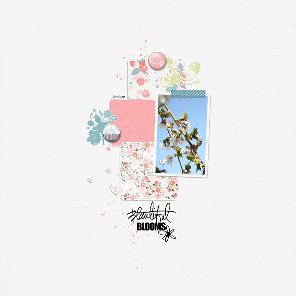 BeautifulBlooms_JennM